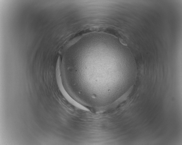 X0000061750914200512161712