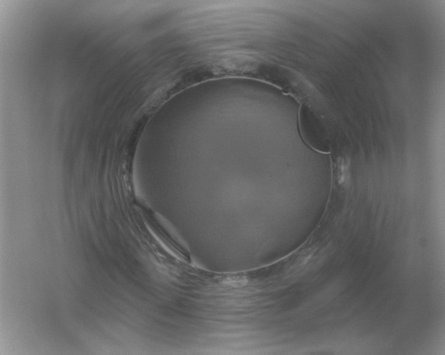 X0000061750915200512161712