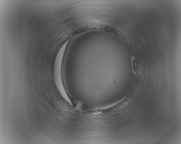 X0000061750916200512161712