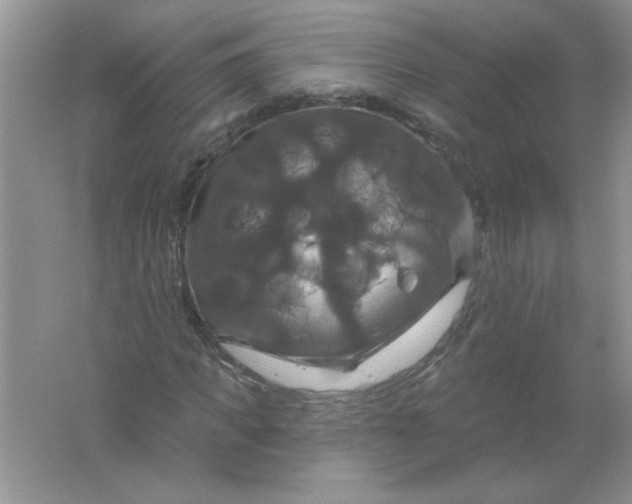 X0000061750917200512161712