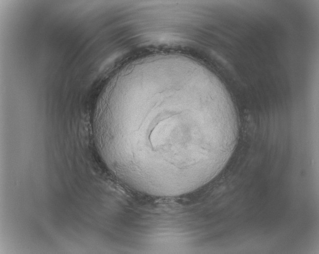 X0000061750918200512161712