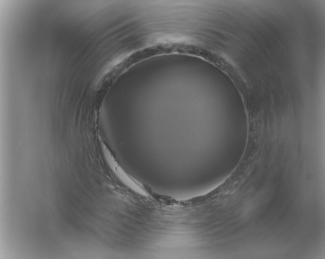 X0000061750919200512161712