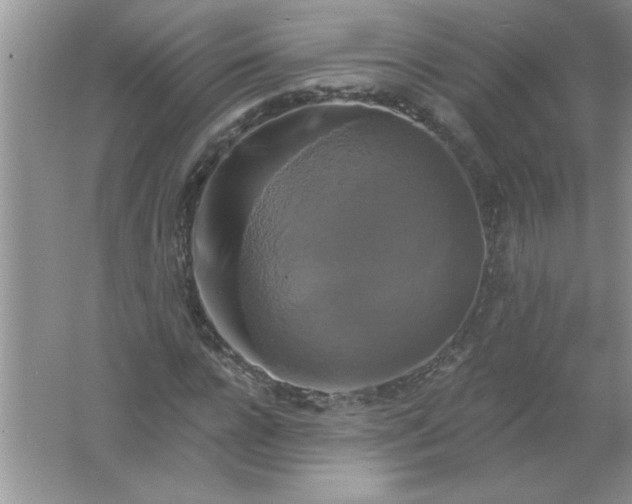 X0000061750920200512161712