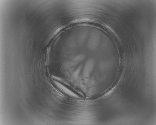 X0000061750921200512161713