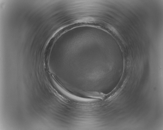 X0000061750923200512161713