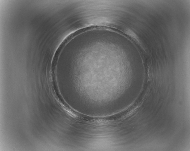 X0000061750924200512161713