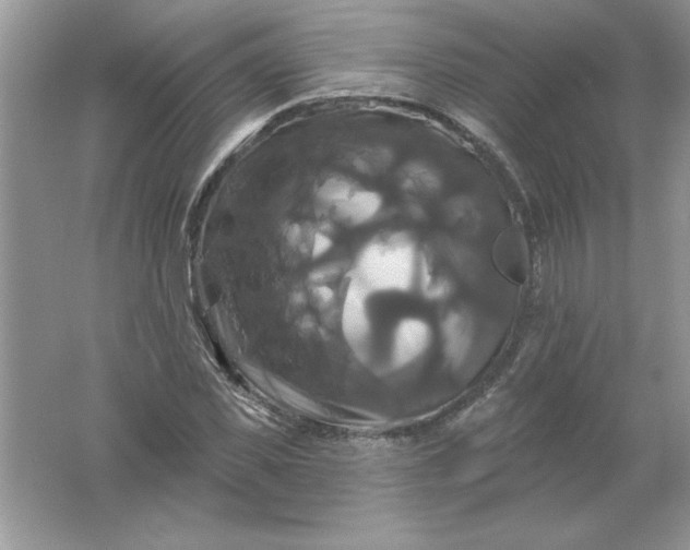 X0000061750925200512161713