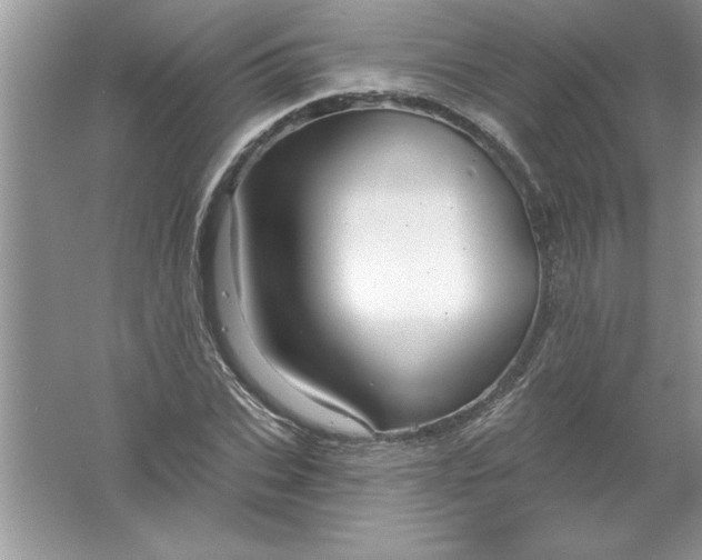 X0000061750927200512161713