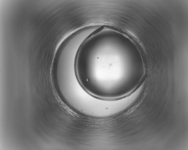 X0000061750928200512161713