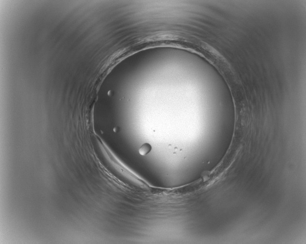 X0000061750929200512161713