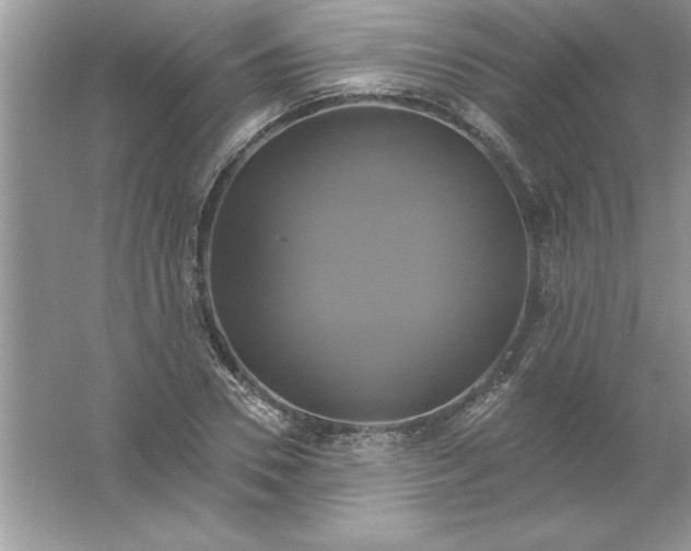 X0000061750930200512161713