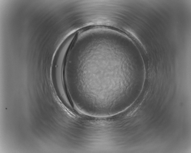 X0000061750932200512161713