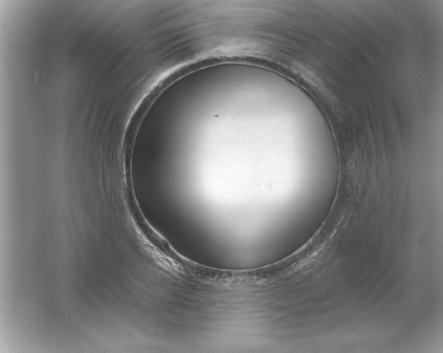 X0000061750934200512161713