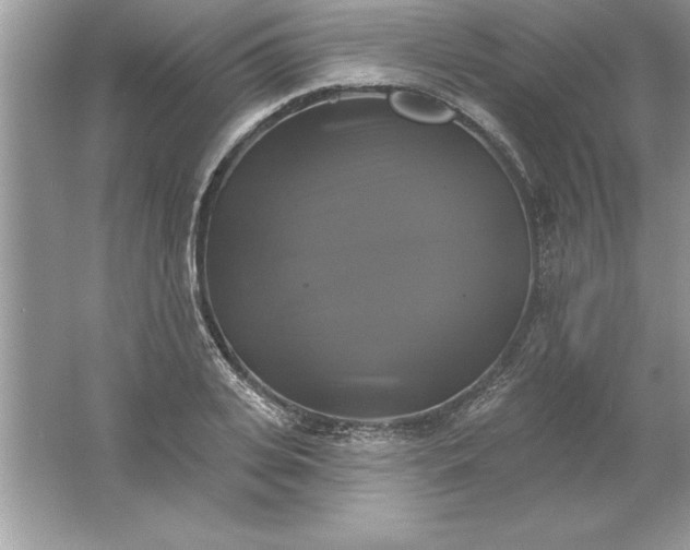 X0000061750935200512161713