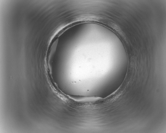 X0000061750936200512161713