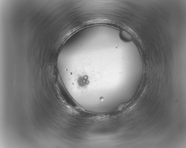 X0000061750937200512161713