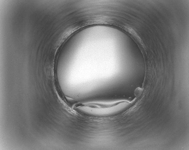 X0000061750938200512161713