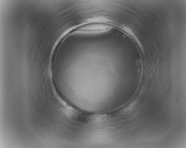 X0000061750939200512161713