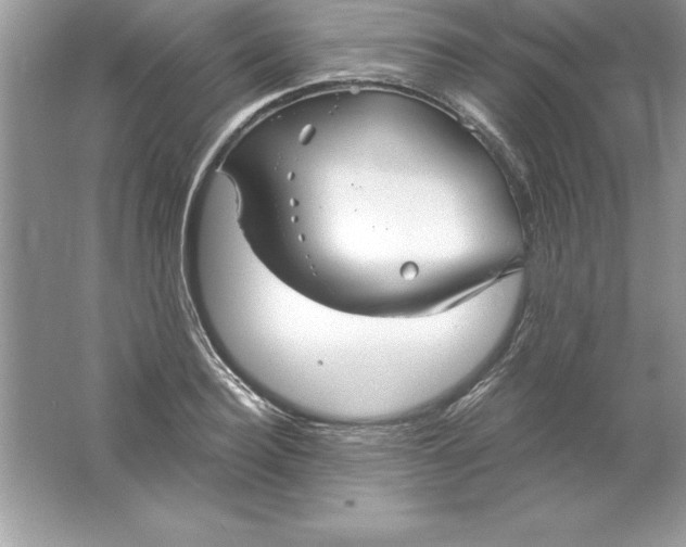 X0000061750940200512161713