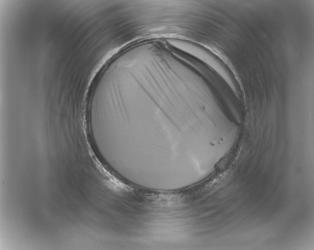 X0000061750941200512161713