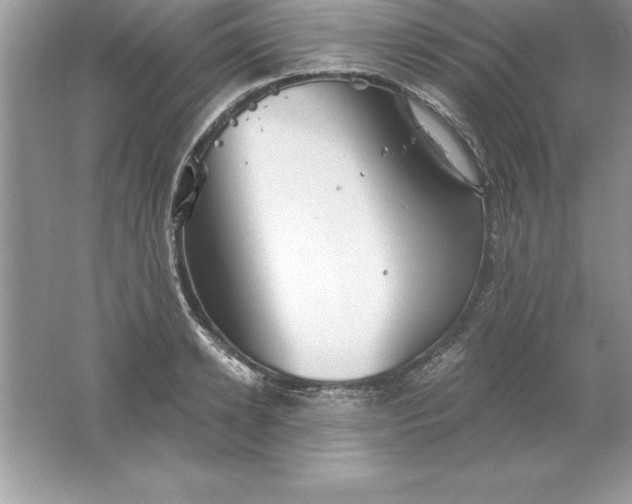 X0000061750942200512161713