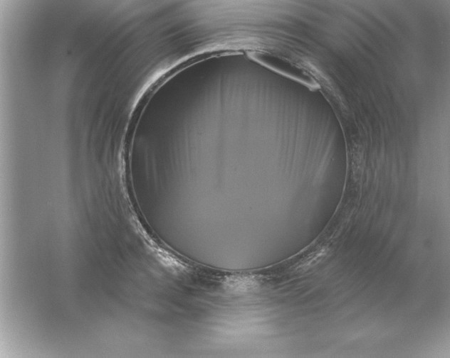 X0000061750944200512161713