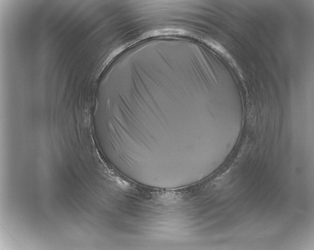 X0000061750945200512161713