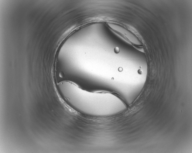 X0000061750946200512161713