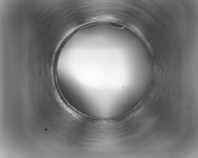 X0000061750947200512161713