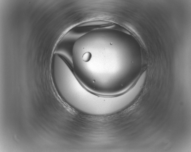 X0000061750948200512161713