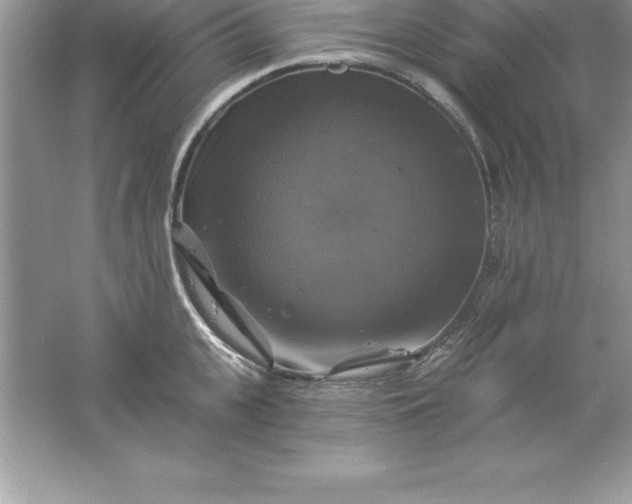 X0000061750951200512161713