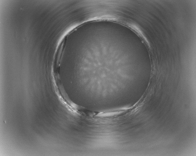 X0000061750952200512161713