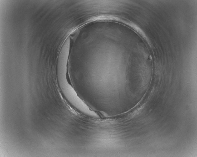 X0000061750953200512161713