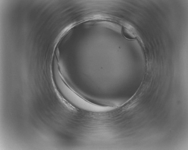 X0000061750954200512161713