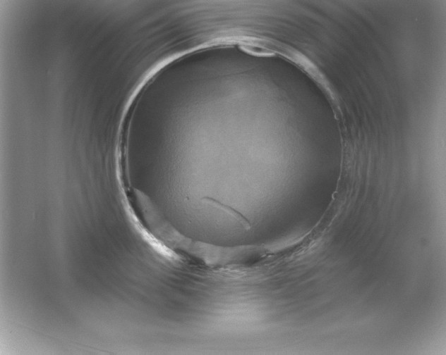 X0000061750955200512161713