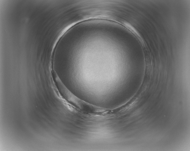 X0000061750956200512161713