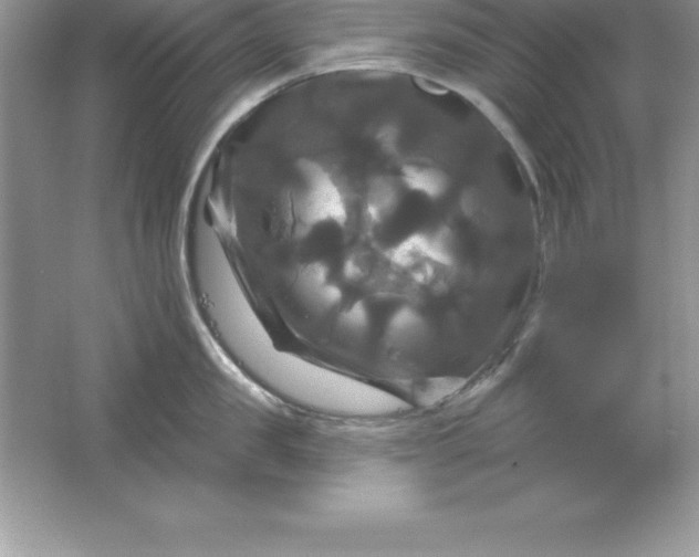 X0000061750957200512161713