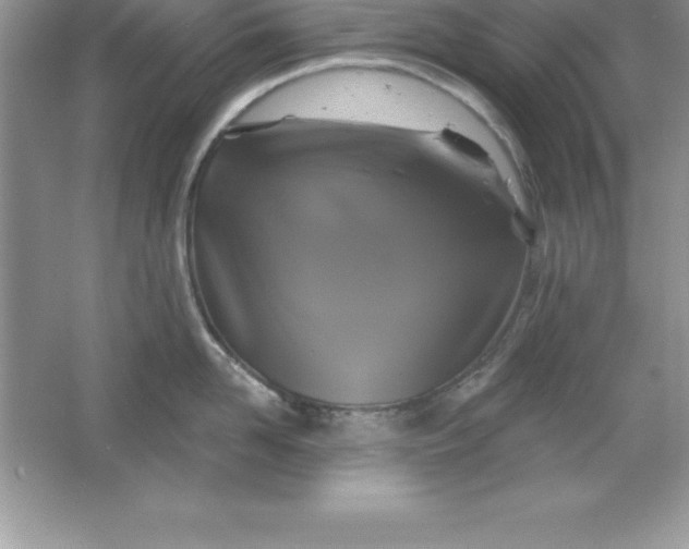 X0000061750958200512161713