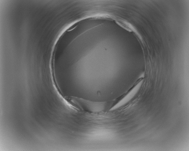 X0000061750959200512161713