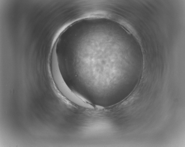 X0000061750960200512161713