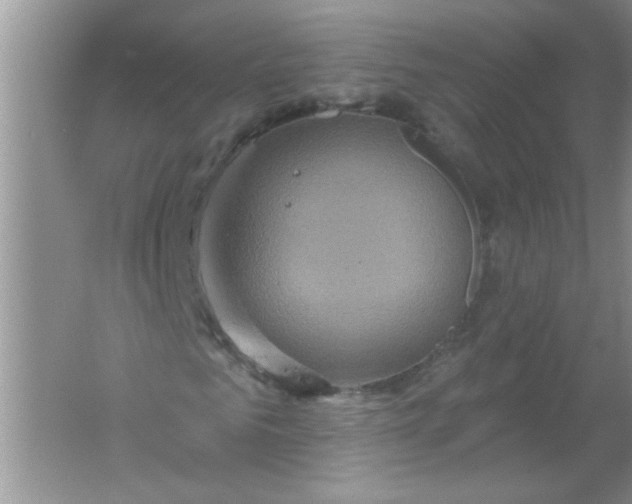 X0000061750961200512161712