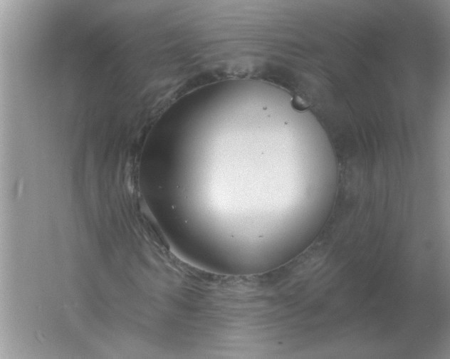 X0000061750962200512161712