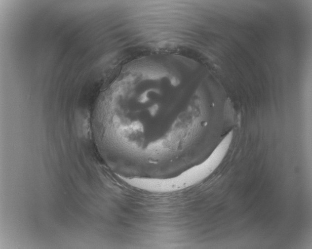 X0000061750963200512161712