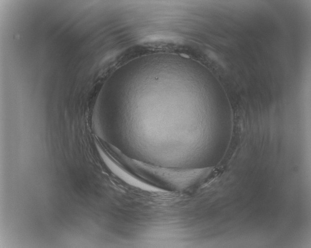 X0000061750965200512161712