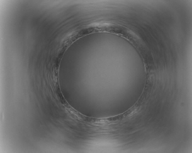 X0000061750966200512161712