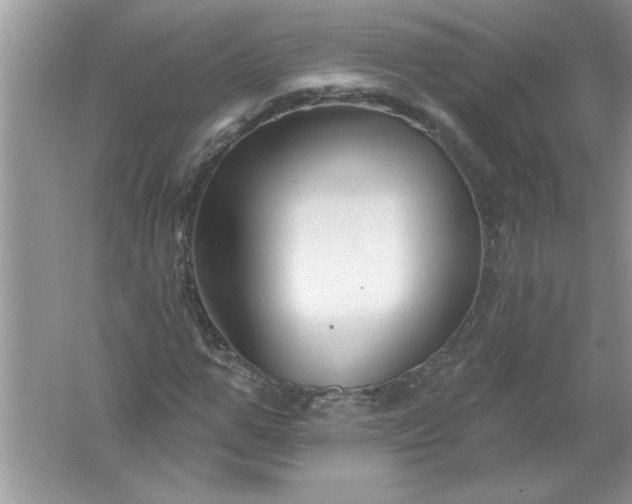 X0000061750967200512161712