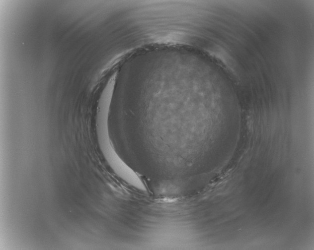 X0000061750968200512161712