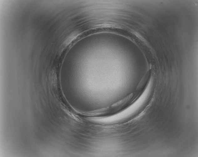 X0000061750969200512161712