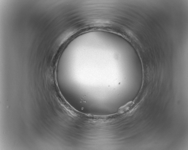 X0000061750970200512161712