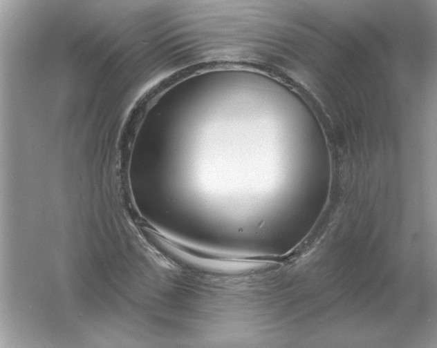 X0000061750971200512161712